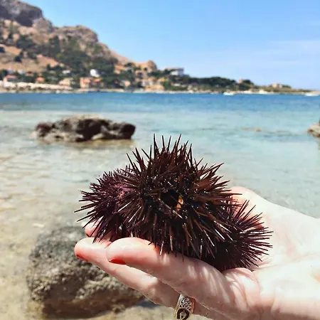 La Stella Marina *